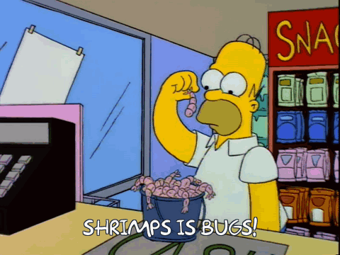 Entomeme Shrimps Is Bugs GIF
