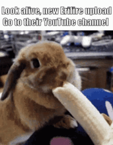 Erifire New Upload GIF