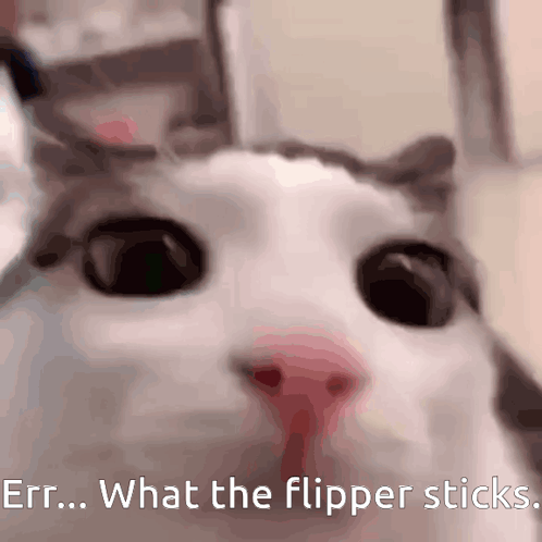 Erm What The Flipper Sticks GIF