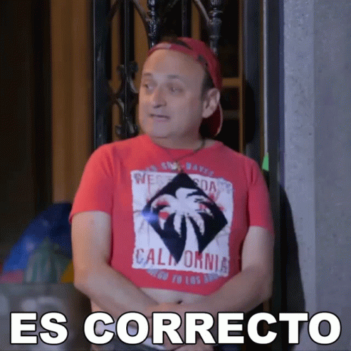 Es Correcto German GIF