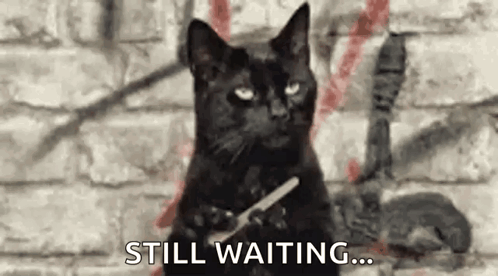 Esper Esperando GIF