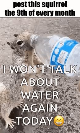 Essica Monthly GIF