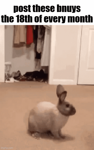 Essica Monthly GIF