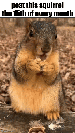 Essica Monthly GIF