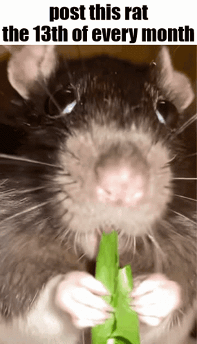 Essica Monthly GIF