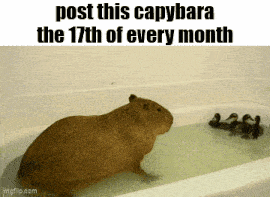 Essica Monthly GIF