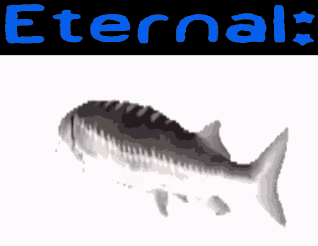 Eternal Pa Hub GIF