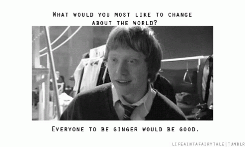 Everyone To Be Ginger Would Be Good GIF
