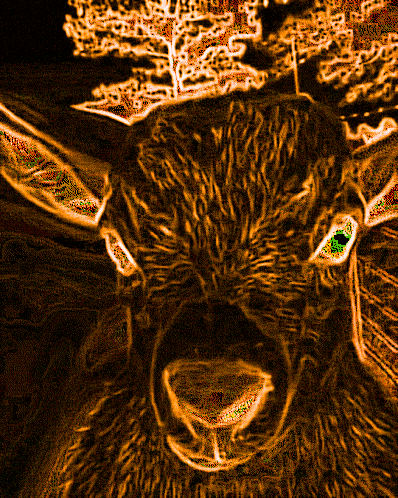 Evil Goat Laugh GIF