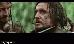 Excellent GIF