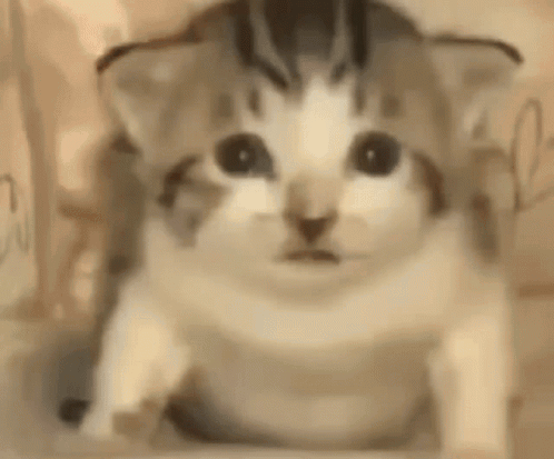 Explosion Boom GIF