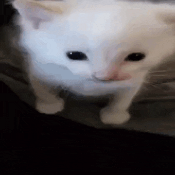 Explosion GIF