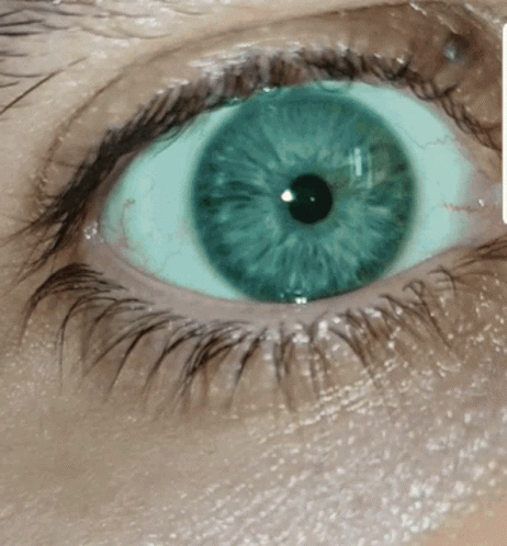 Eyes Black Eyelashes GIF
