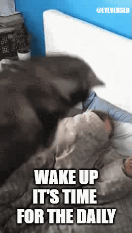 Eyeverse Daily GIF