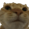 Ez Sticker