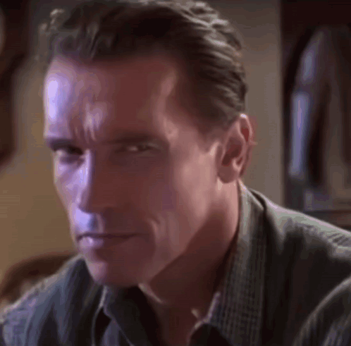 Fadding Arnold Schwarzenegger GIF