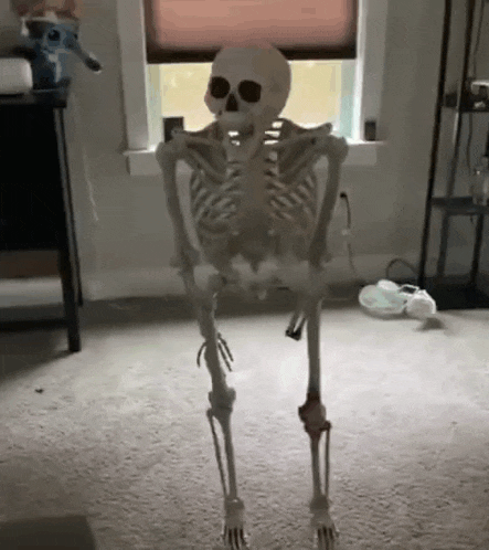 Fadding Cat GIF
