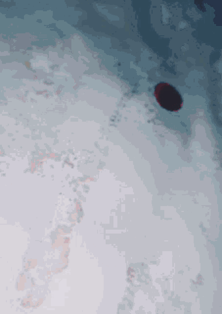 Fake Blood Bleeding GIF