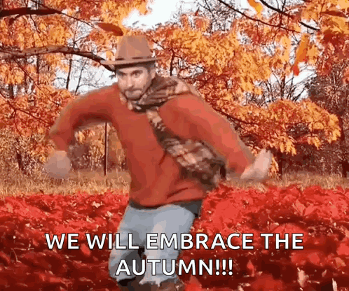 Fall Girl Fall Girl Aesthetic GIF