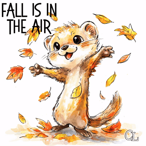 Fall Is In The Air Fall Air GIF