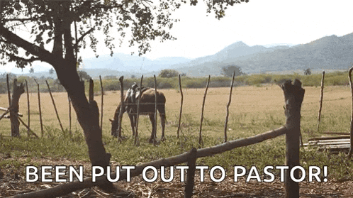 Farm Farmer GIF