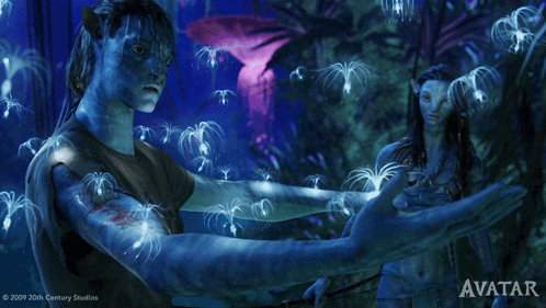 Fascinated By The Lights Jake Sully GIF