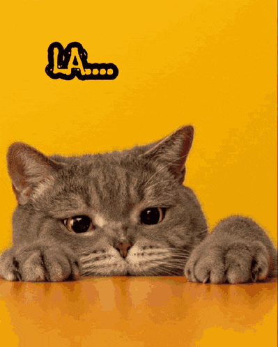 Fasolla1 GIF