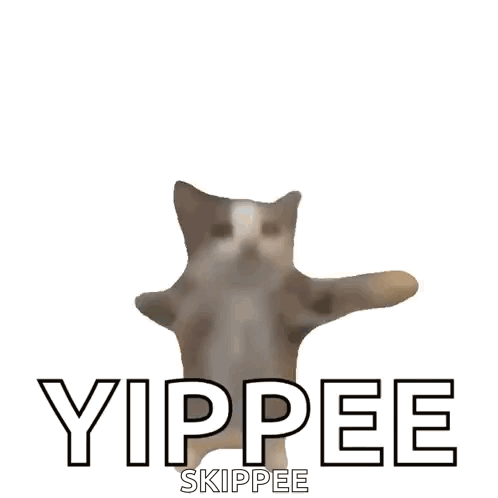 Fast Cat Cat Excited GIF