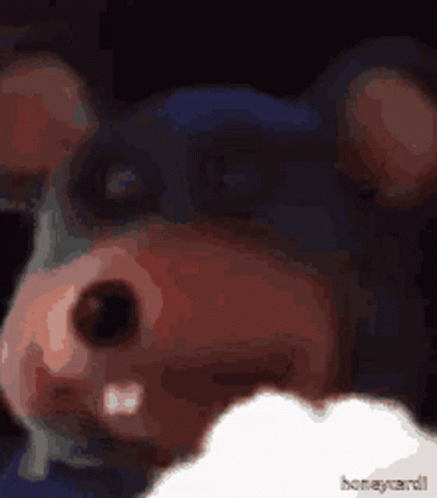 Fedecks GIF