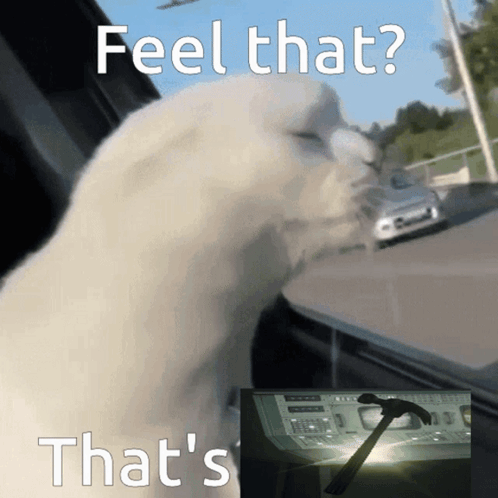 Feel That Feel That Thats True GIF