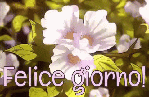 Felice Giorno Buongiorno Buon Giorno Buona Giornata A Tutti Svegliarsi Buondì GIF