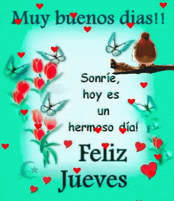 Felicidades Muy Buenos Dias GIF