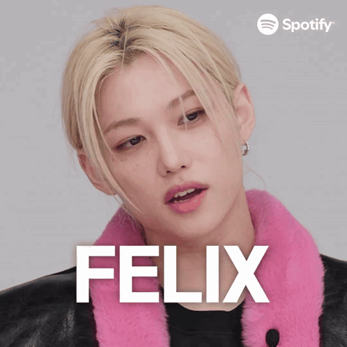 Felix Felix Stray Kids GIF
