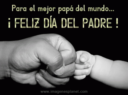 Feliz Día Del Padre Mes Del Padre GIF