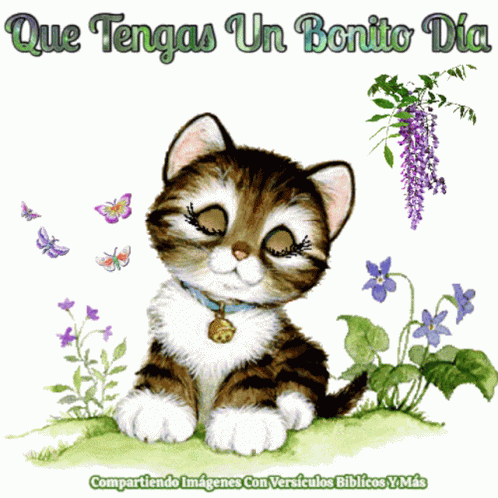 Feliz Dia Que Tengas Un Bonito Dia GIF