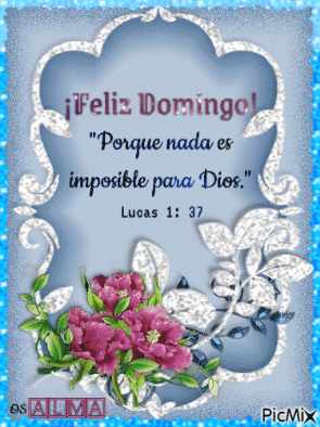 Feliz Domingo GIF