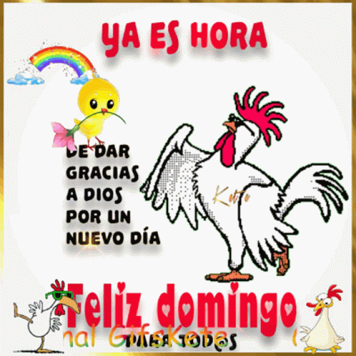 Feliz Domingo Ya Es Hora GIF