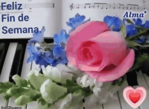 Feliz Fin De Semana GIF