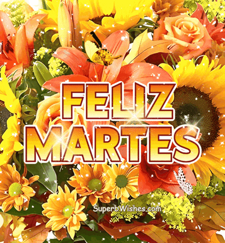 Feliz Martes GIF