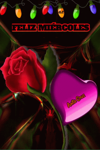 Feliz Miércoles GIF