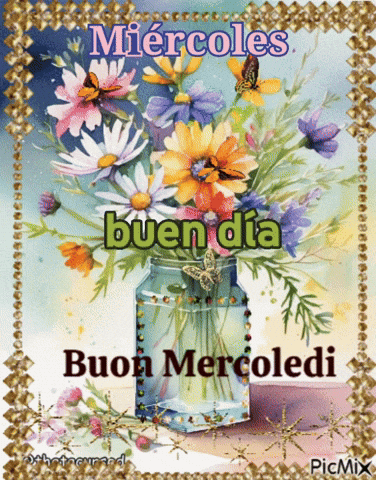 Feliz Miercoles GIF
