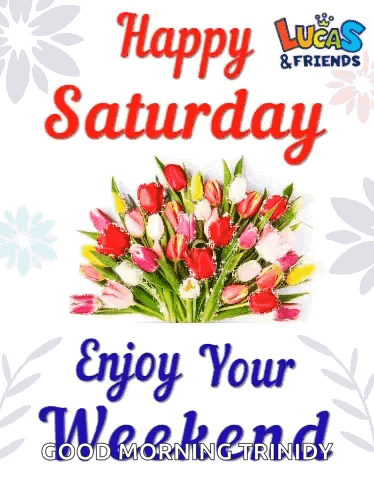 Feliz Sábado Saturday Morning GIF
