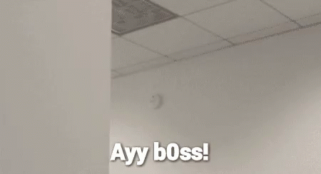 Filthy Frank Papa Franku GIF