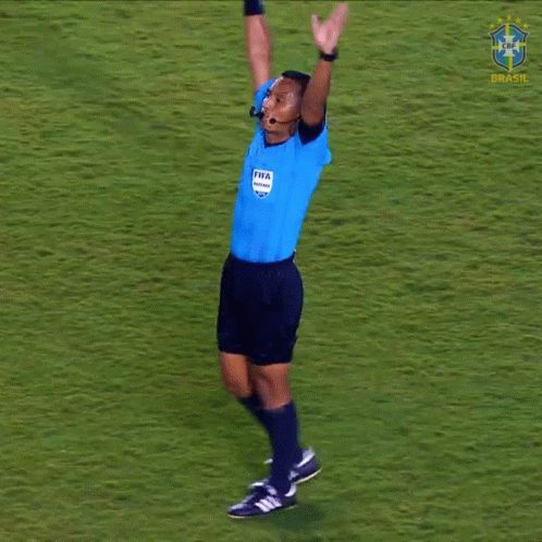 Fim Do Jogo Cbf GIF