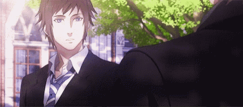 Final Fantasy Noctis Lucis Caelum GIF
