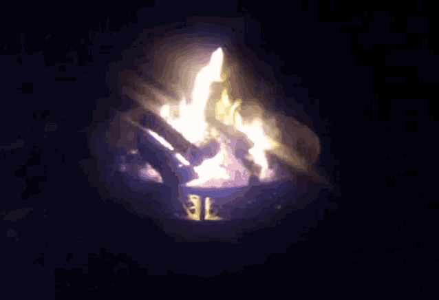 Fire Campfire GIF