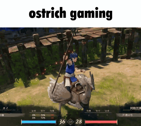 Fire Emblem Fire Emblem Fortune'S Weave GIF