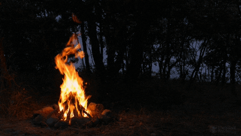 Fire Pit GIF