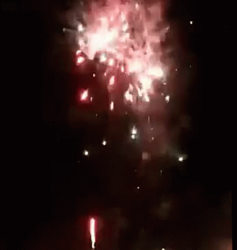 Fire Works Deepavali GIF