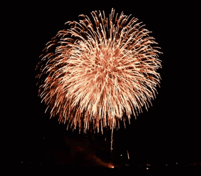 Firework Good GIF